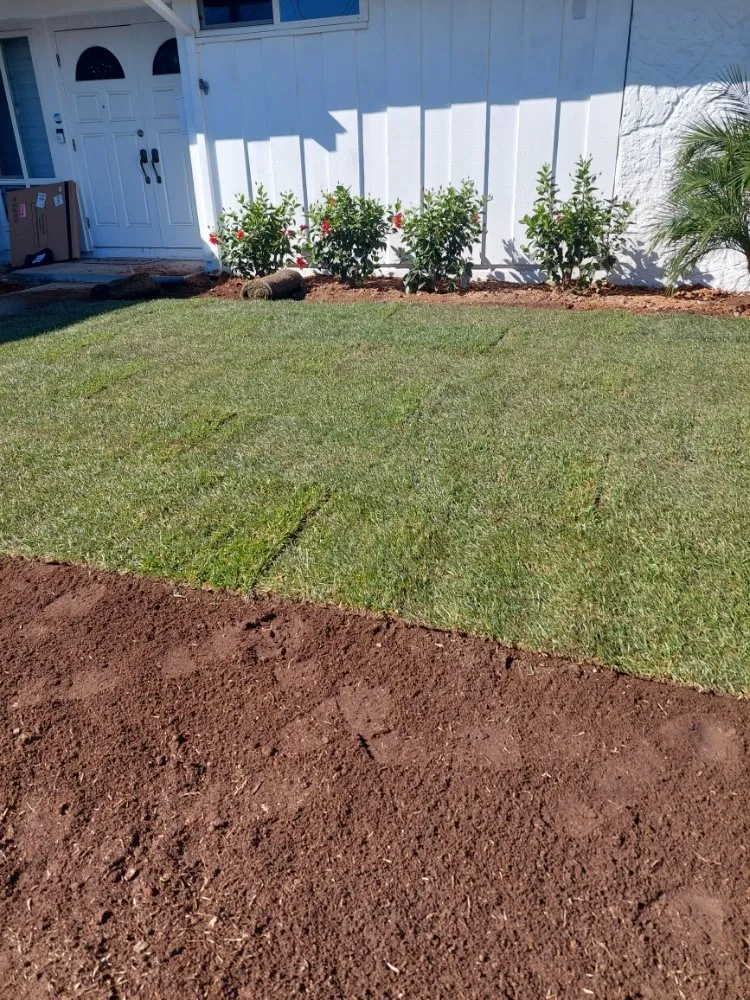 Local yard maintenance in Escondido, CA - Mateo Diego
