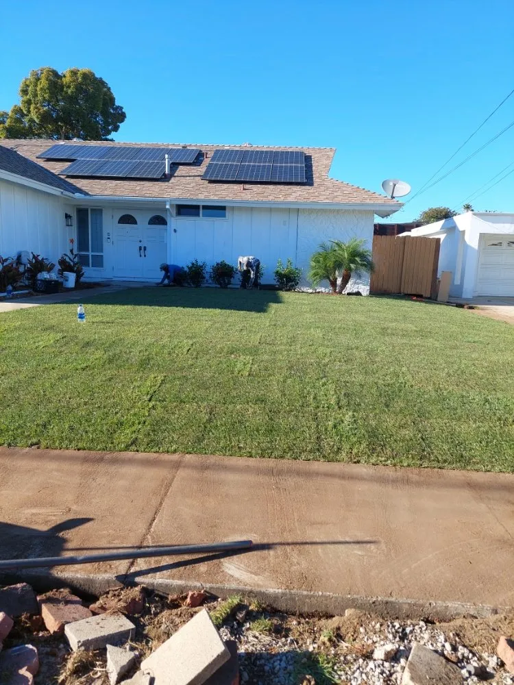 Reliable yard maintenance experts serving Escondido, CA - Mateo Diego