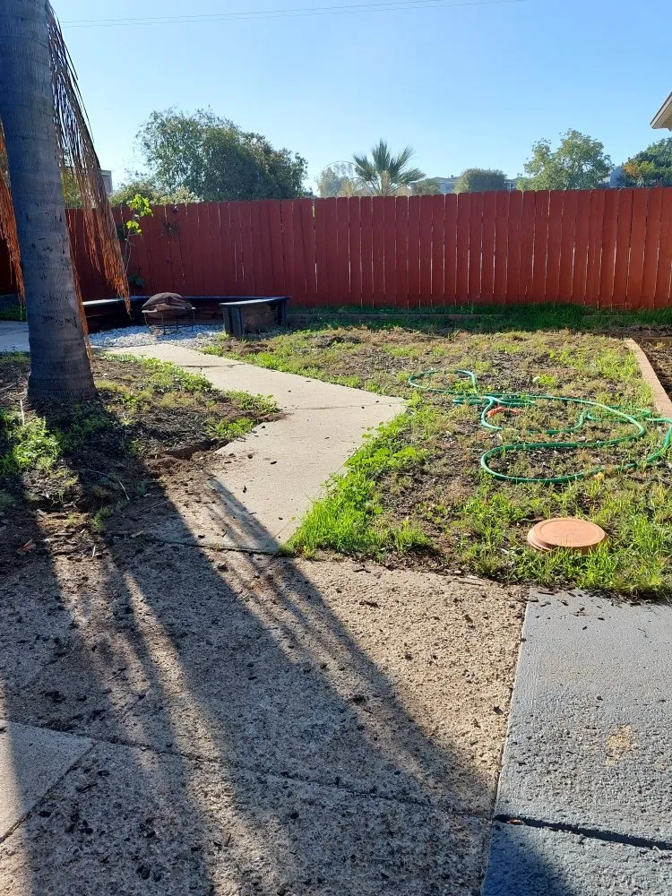 Trusted yard maintenance in Escondido, CA by Mateo Diego