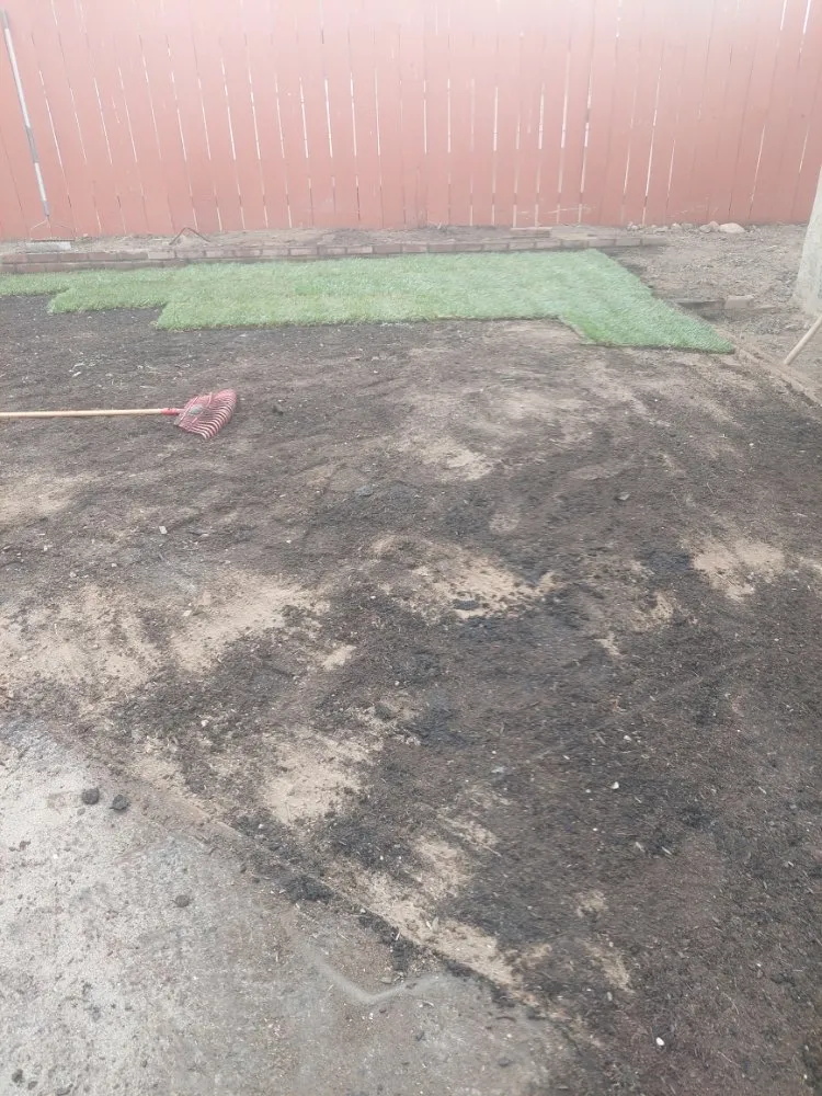 Local landscape installation in Escondido, CA - Mateo Diego