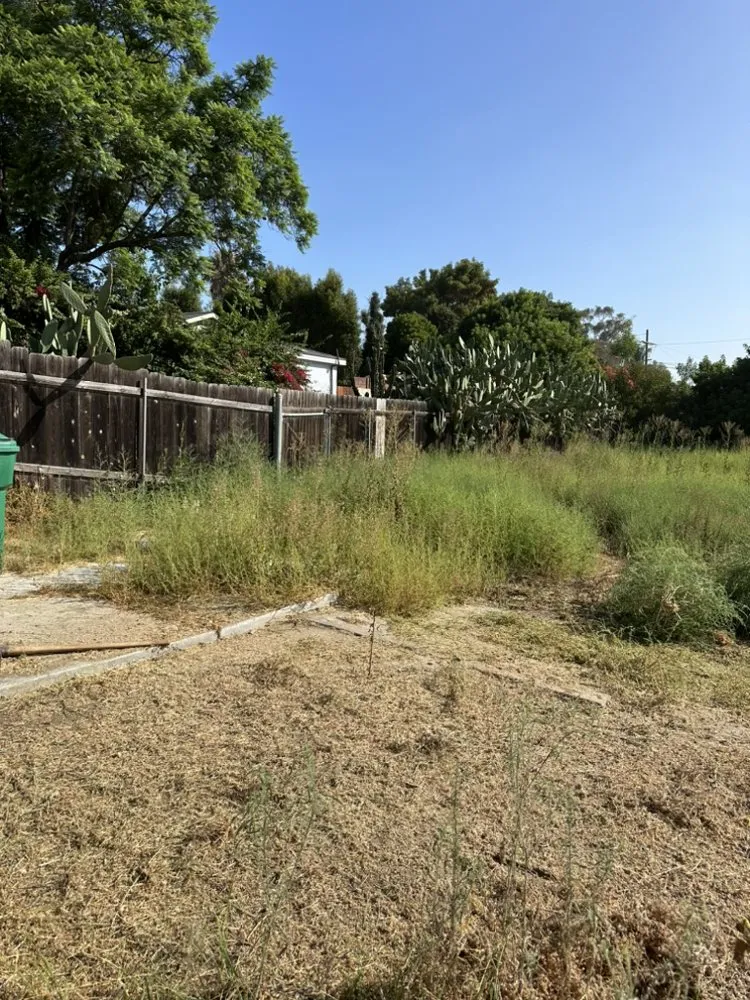 Professional yard maintenance in Escondido, CA by Mateo Diego