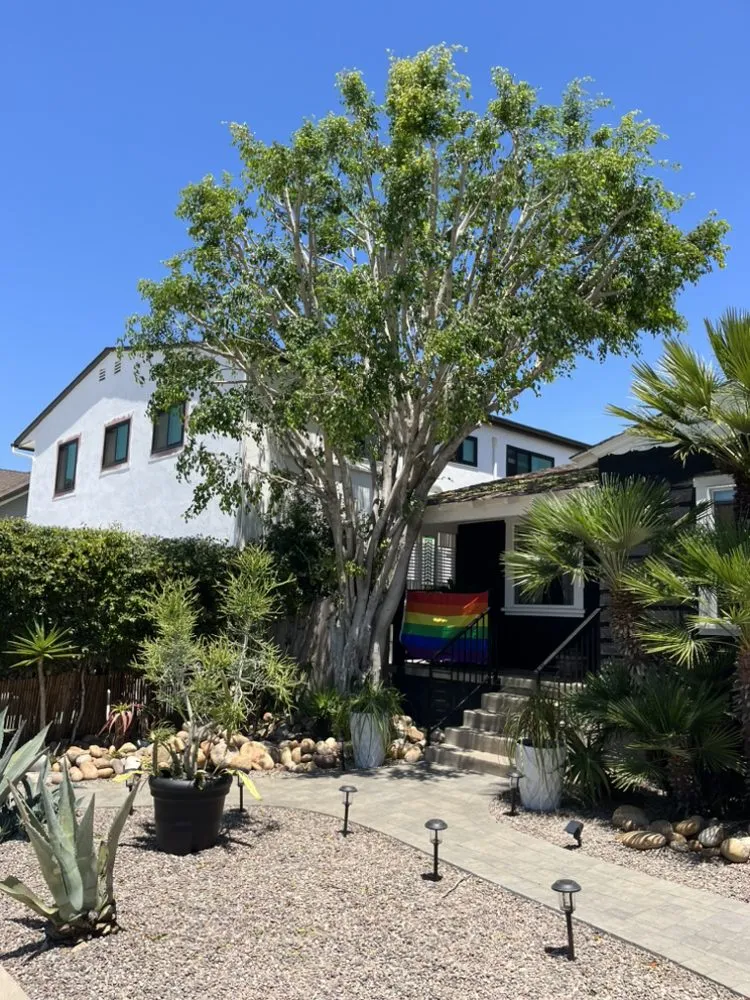 Custom outdoor landscaping near you across Escondido, CA - Mateo Diego