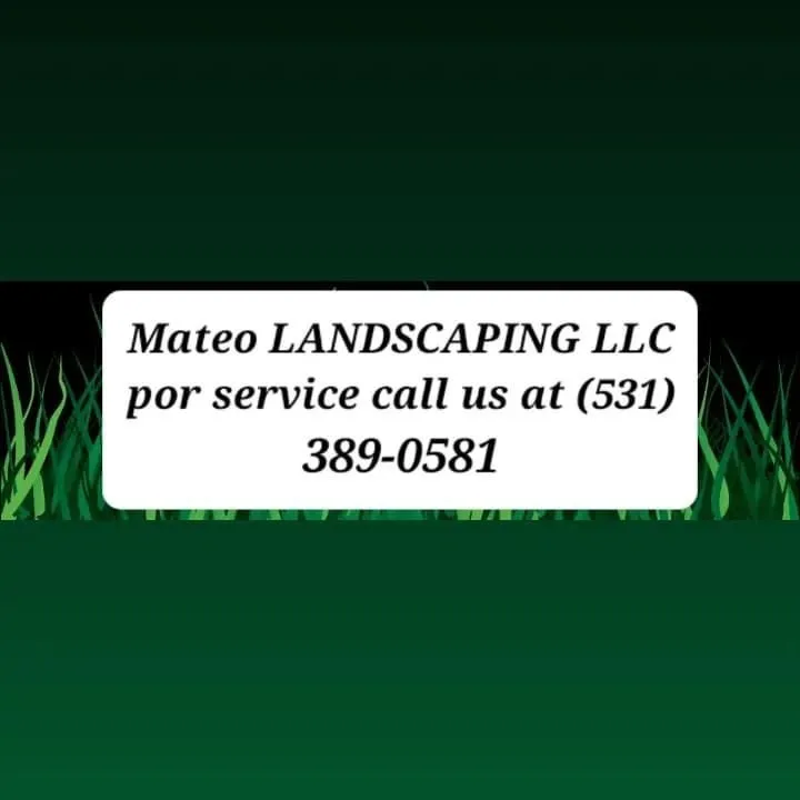 Affordable lawn care service experts serving Omaha, NE - Mateo Landscaping
