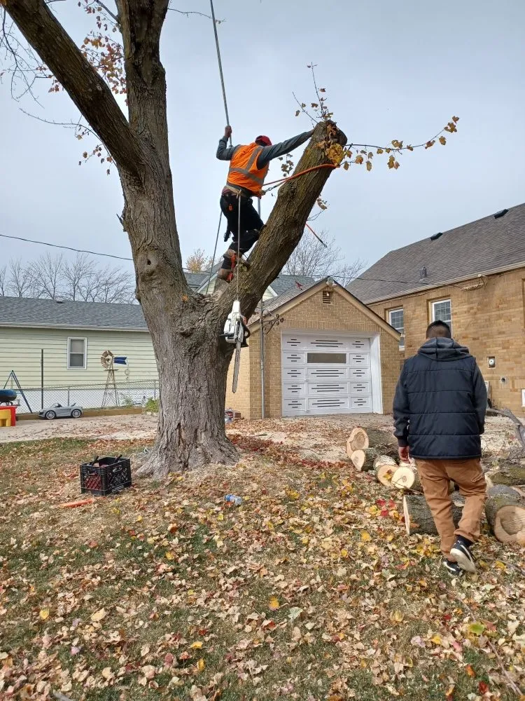 Professional outdoor landscaping in Omaha, NE by Mateo Landscaping