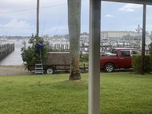 Mateo Landscaping Logo