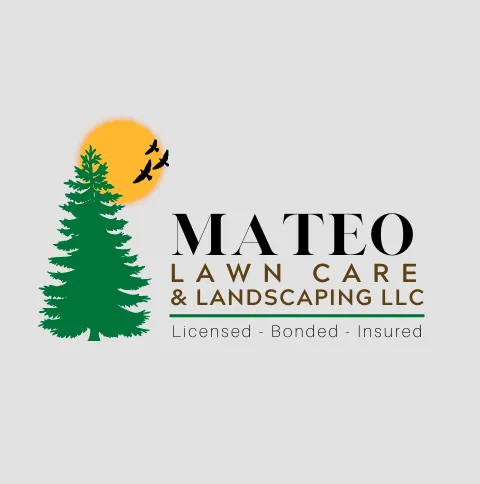 Top-rated lawn mowing service for year-round maintenance across Gig Harbor, WA - Mateo Lawn Care & Landscaping