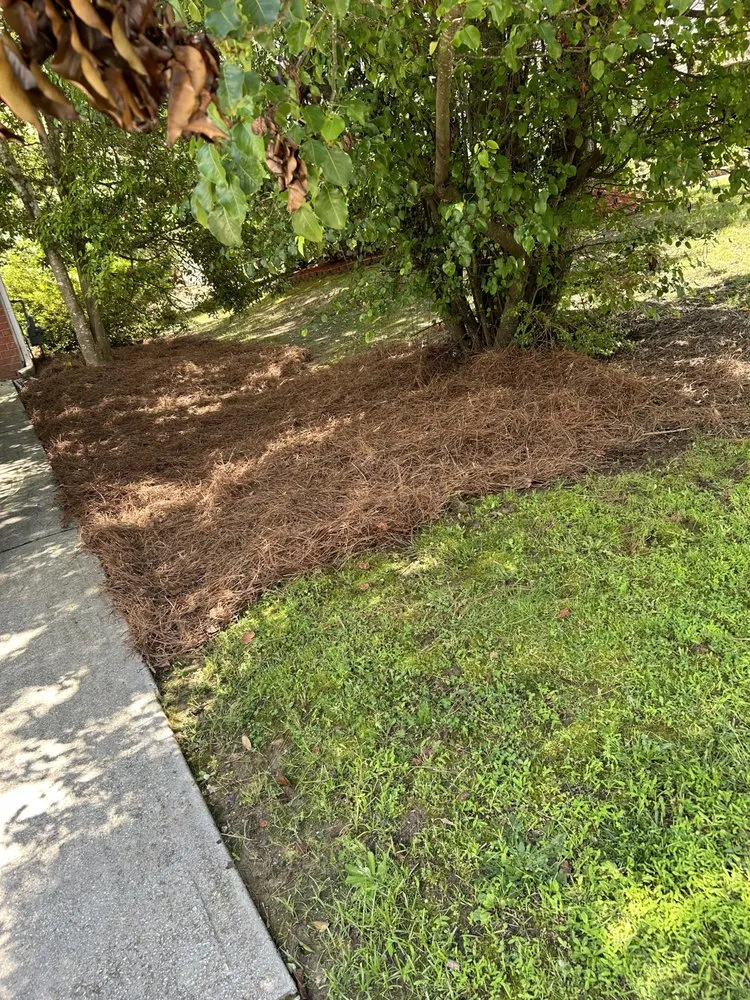 Professional landscaping services for year-round maintenance in Austell, GA by Mateo Lawn Care