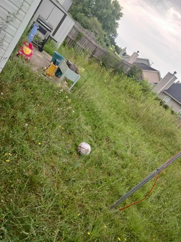 Trusted garden landscaping for residential properties across Austell, GA - Mateo Lawn Care