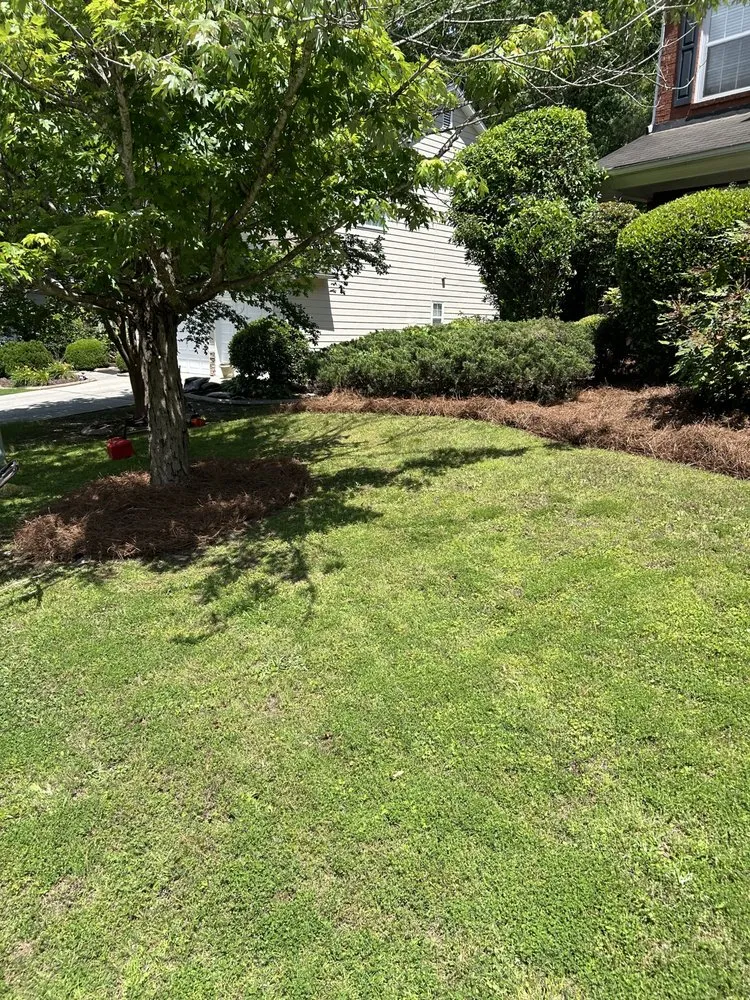 Reliable lawn care service for beautiful yards across Austell, GA - Mateo Lawn Care