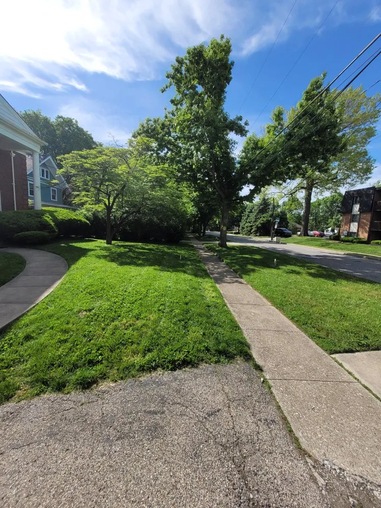 Top-rated landscaping services experts serving Elmwood Place, OH - Mateo Lawn care