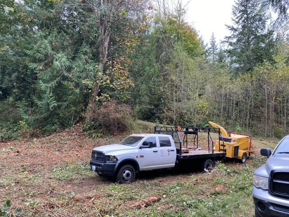 Local yard maintenance in Ferndale, WA - Mateo Tree Service Of Ferndale