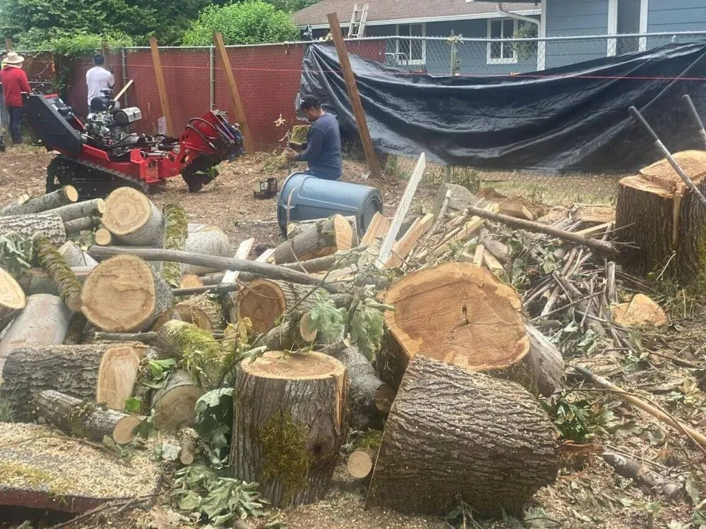 Trusted landscaping services for year-round maintenance in Ferndale, WA by Mateo Tree Service Of Ferndale