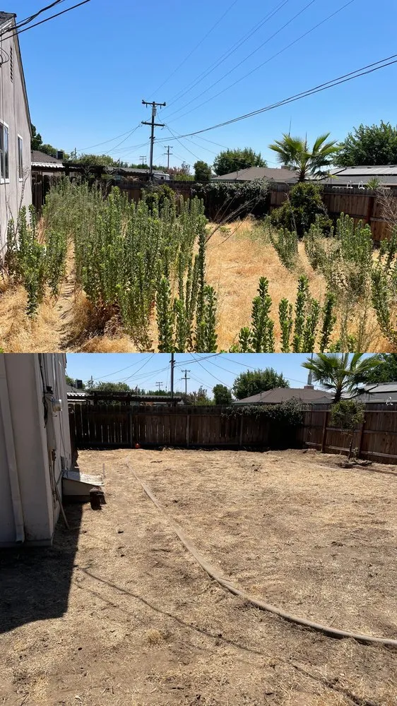 Professional garden landscaping experts serving Stockton, CA - Mateo Y Miguel Junk Removal Services