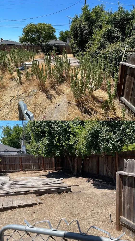 Top-rated landscape installation with custom design in Stockton, CA by Mateo Y Miguel Junk Removal Services