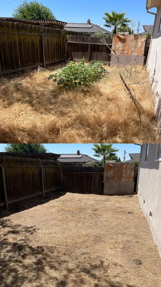 Trusted landscape installation for beautiful yards across Stockton, CA - Mateo Y Miguel Junk Removal Services
