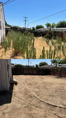 Mateo Y Miguel Junk Removal Services Logo