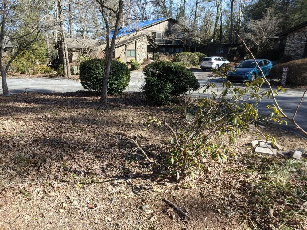 Top-rated residential landscaping in Hendersonville, NC - Mateo's Construction and Landscaping