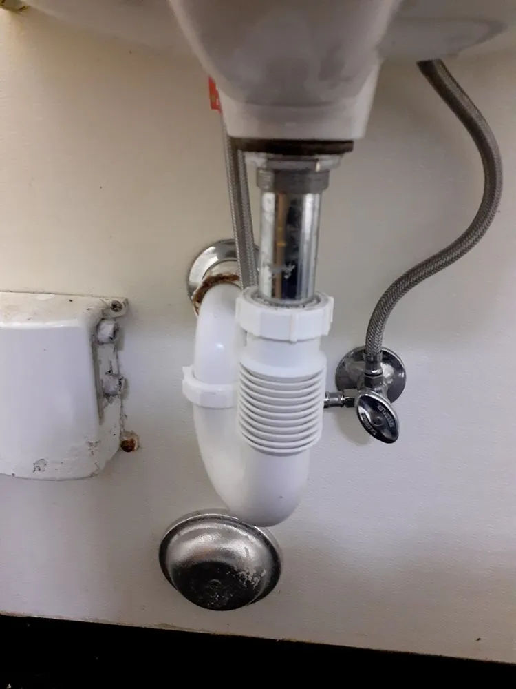 Affordable yard cleanup service for residential properties across Santa Maria, CA - Mateo’s Handyman Services