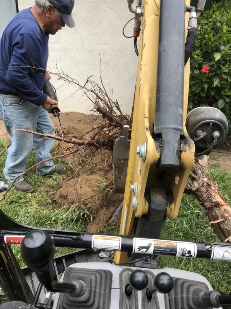 Professional outdoor landscaping in Santa Maria, CA - Mateo’s Handyman Services