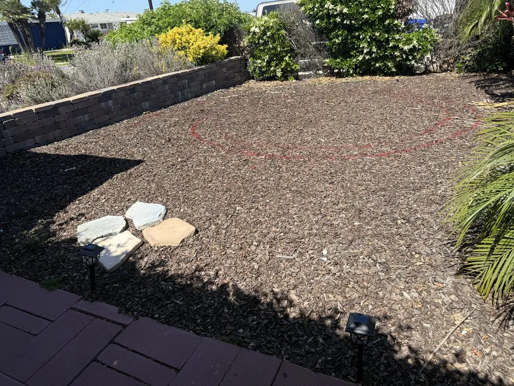 Affordable landscape installation for beautiful yards in Escondido, CA by Mateo’s landscape