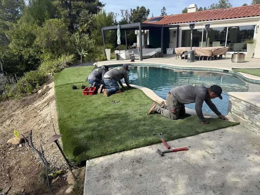 Trusted yard cleanup service in Escondido, CA by Mateo’s landscape