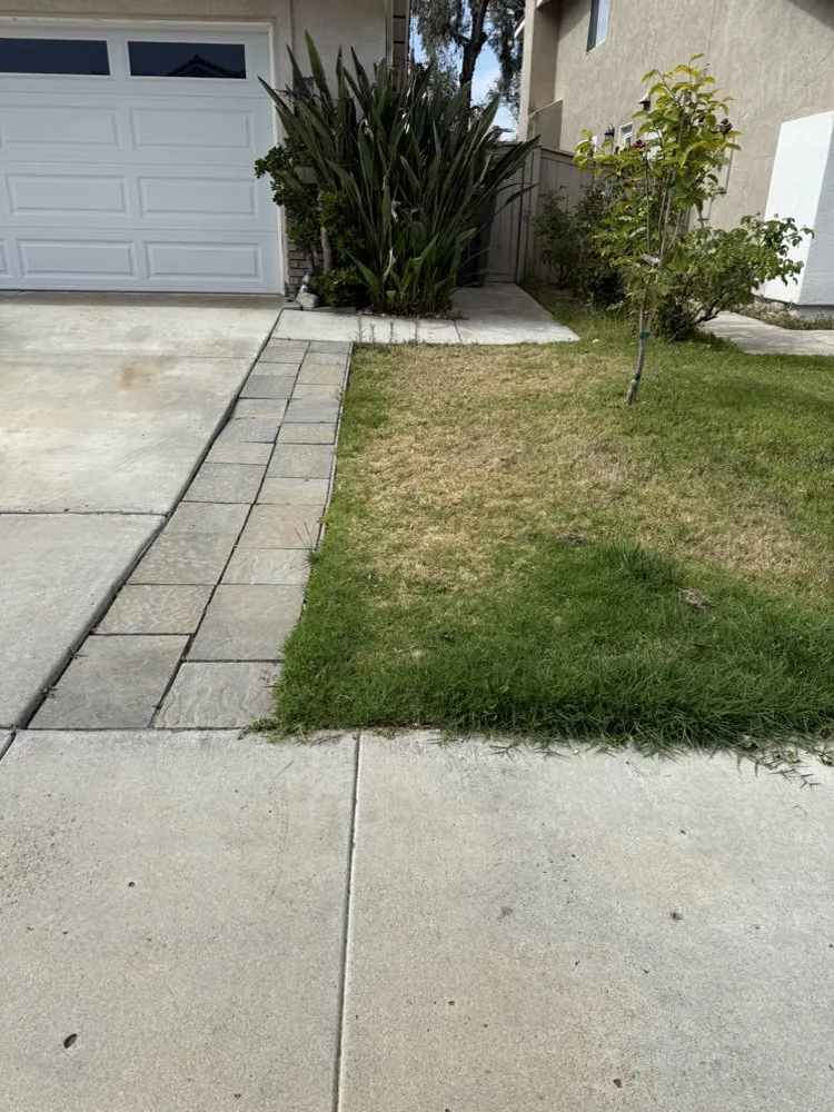 Top-rated landscape installation for beautiful yards in Escondido, CA by Mateo’s landscape