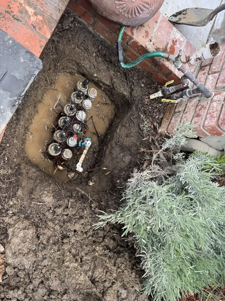 Reliable yard maintenance in Morgan Hill, CA by Mateos Landscaping