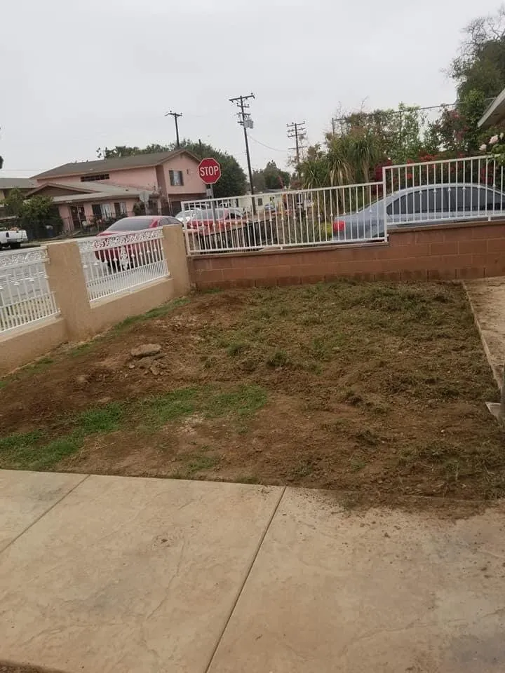 Expert lawn care service in Rowland Heights, CA - Mateo’s Landscaping