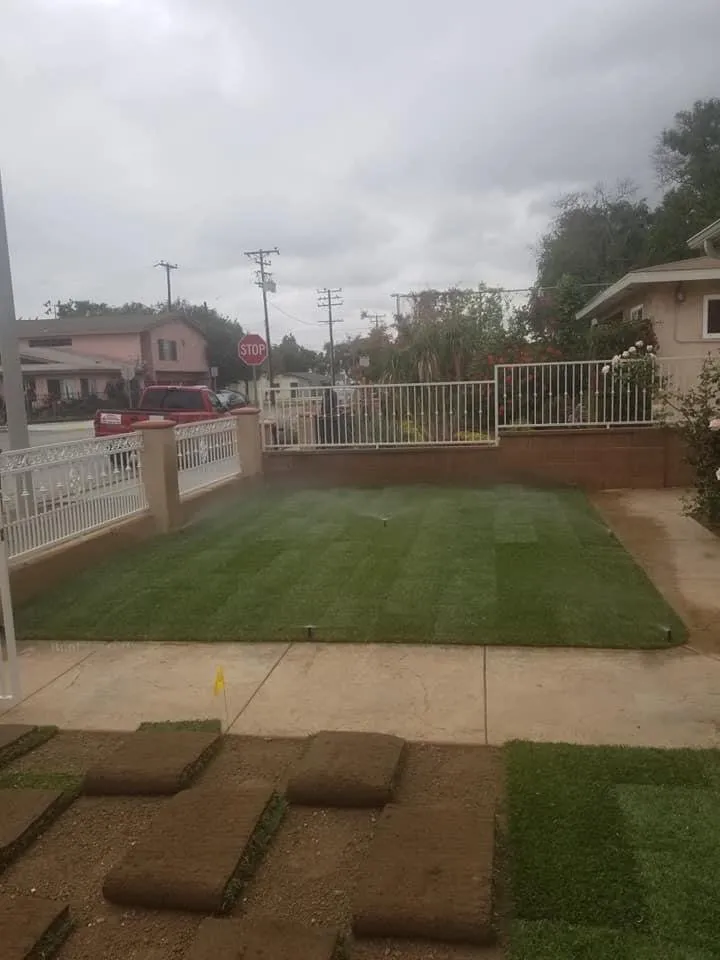 Professional yard maintenance experts serving Rowland Heights, CA - Mateo’s Landscaping