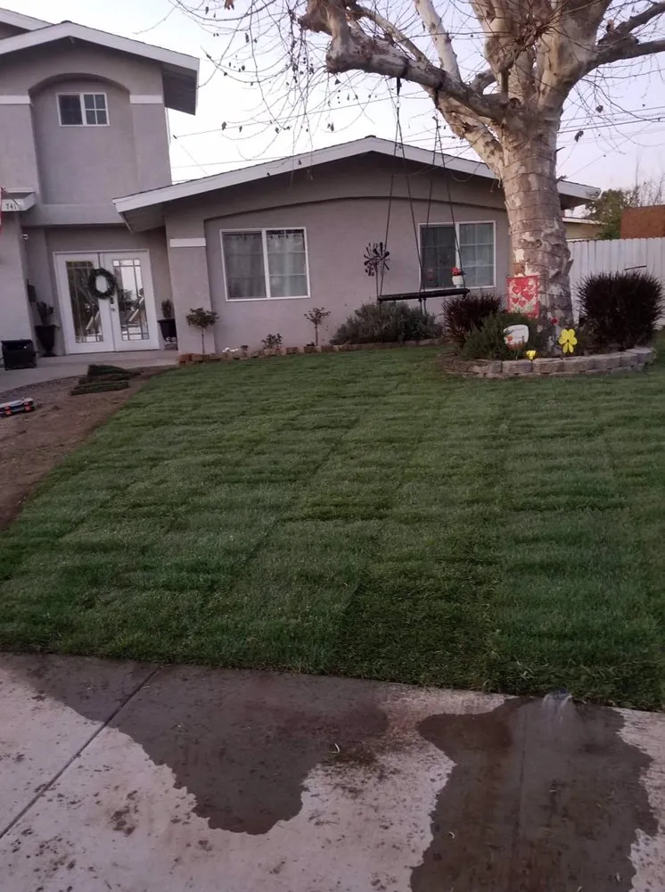 Local yard cleanup service in Rowland Heights, CA - Mateo’s Landscaping