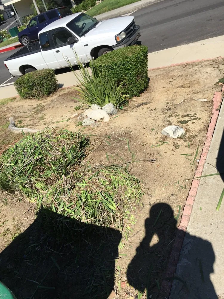 Reliable residential landscaping for year-round maintenance across Rowland Heights, CA - Mateo’s Landscaping