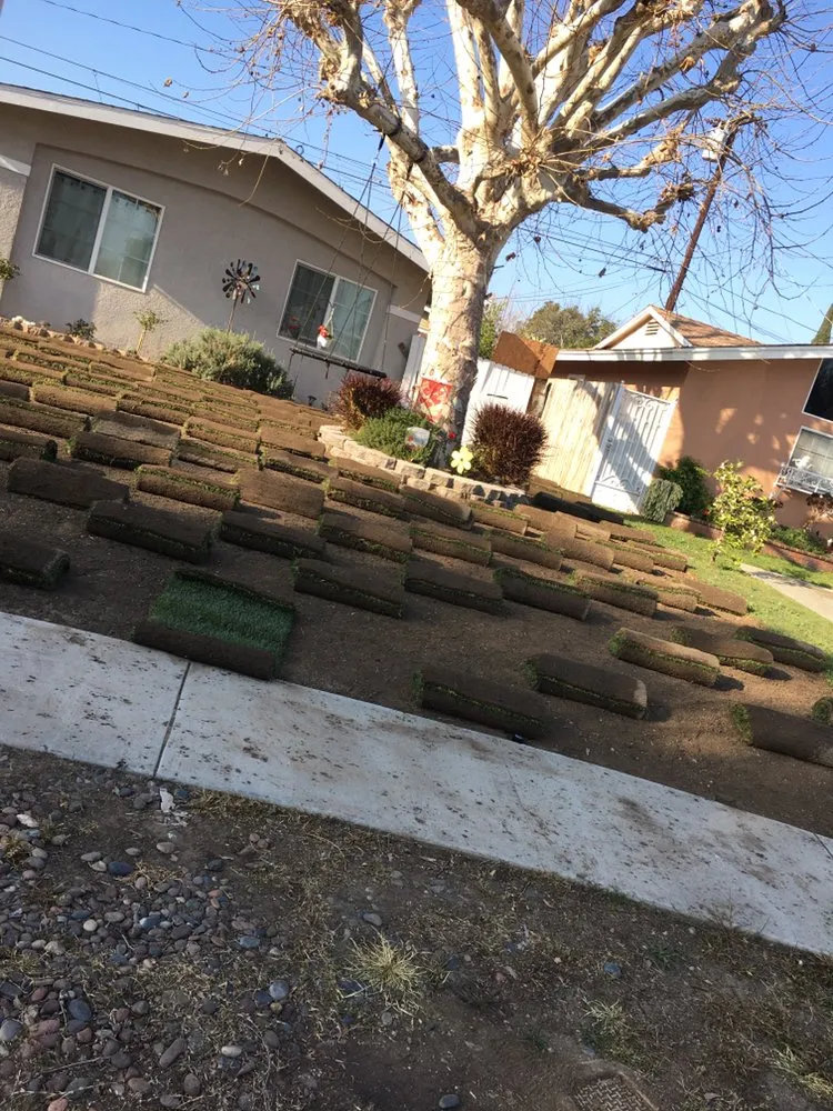 Local outdoor landscaping near you across Rowland Heights, CA - Mateo’s Landscaping