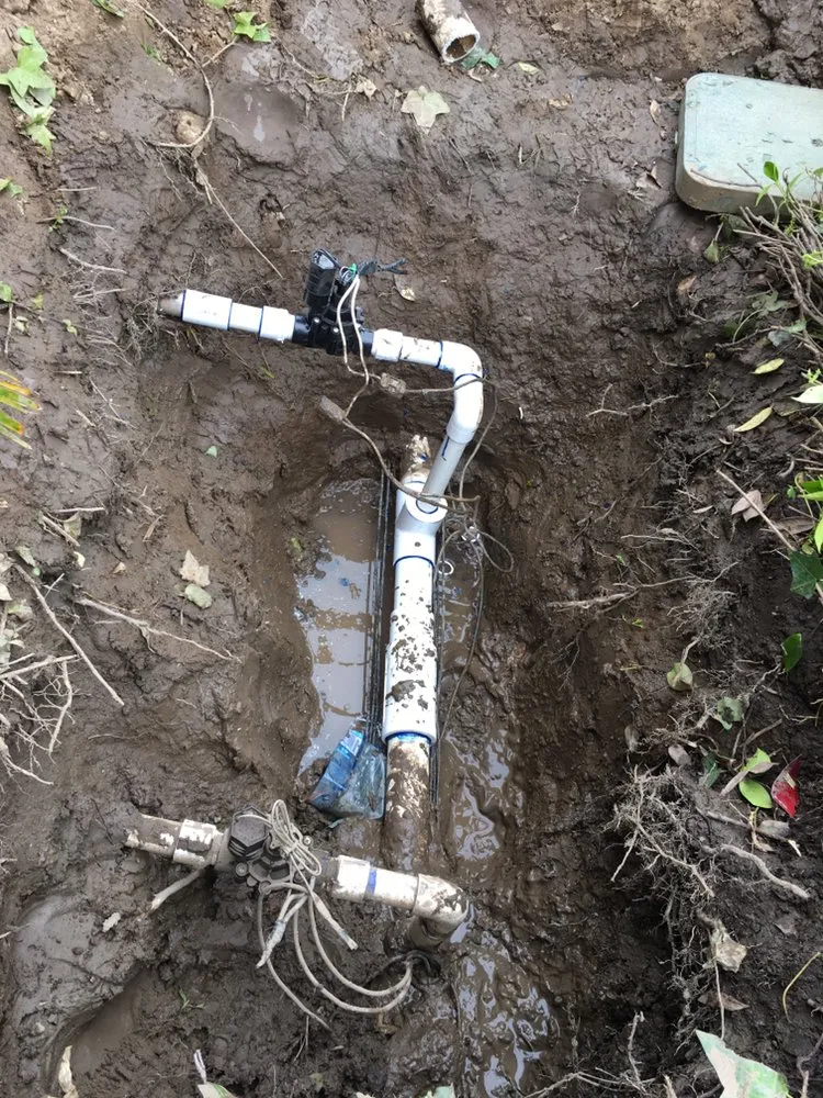 Expert residential landscaping in Rowland Heights, CA by Mateo’s Landscaping