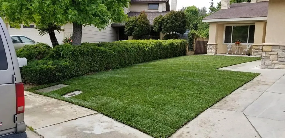 Expert landscape installation in Rowland Heights, CA by Mateo’s Landscaping