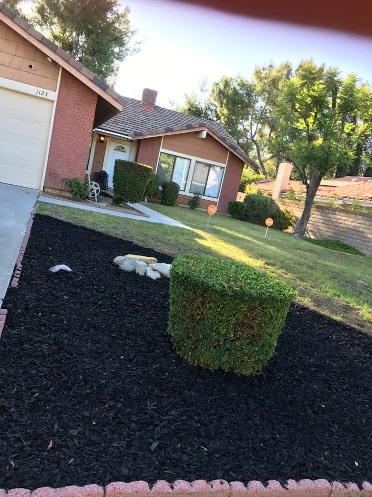 Professional lawn care service in Rowland Heights, CA by Mateo’s Landscaping