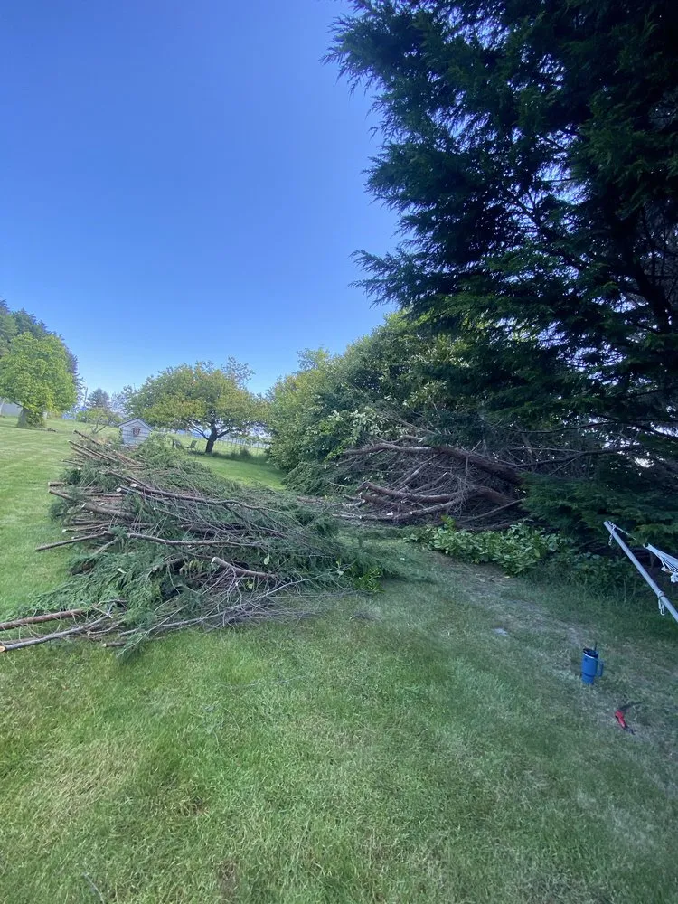 Affordable lawn care service in Sequim, WA - Mateo's Lawn Care Services