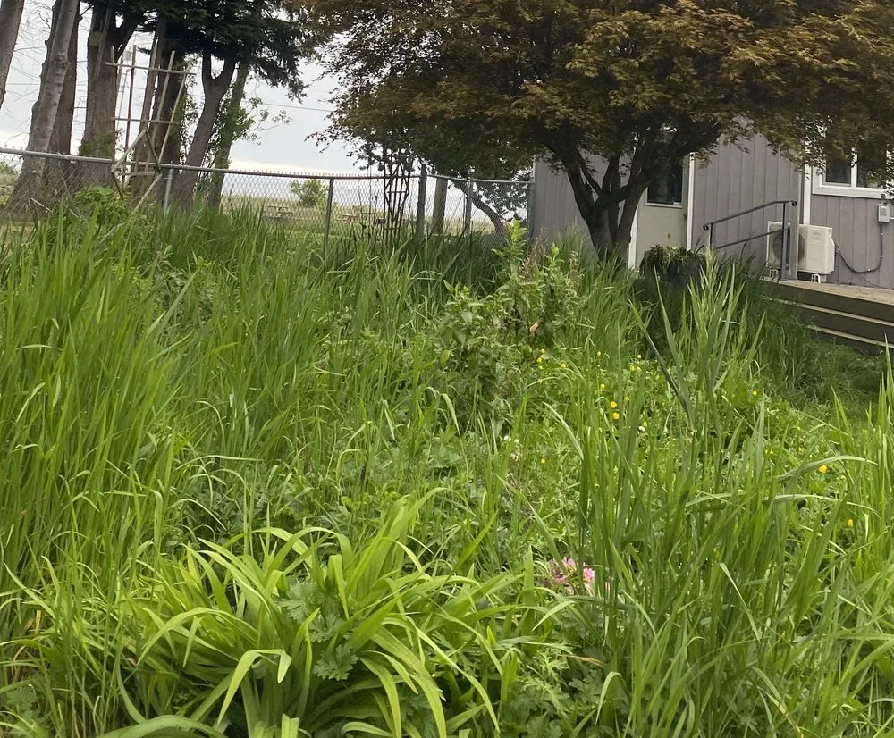 Affordable residential landscaping experts serving Sequim, WA - Mateo's Lawn Care Services