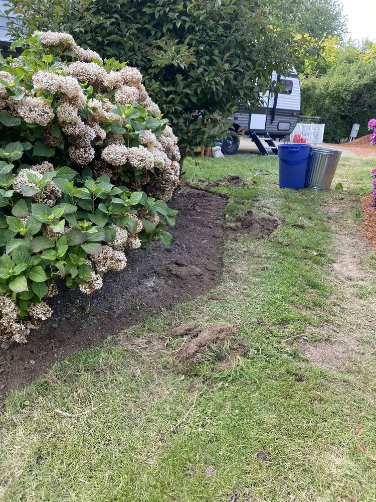 Professional landscape installation for residential properties across Sequim, WA - Mateo's Lawn Care Services