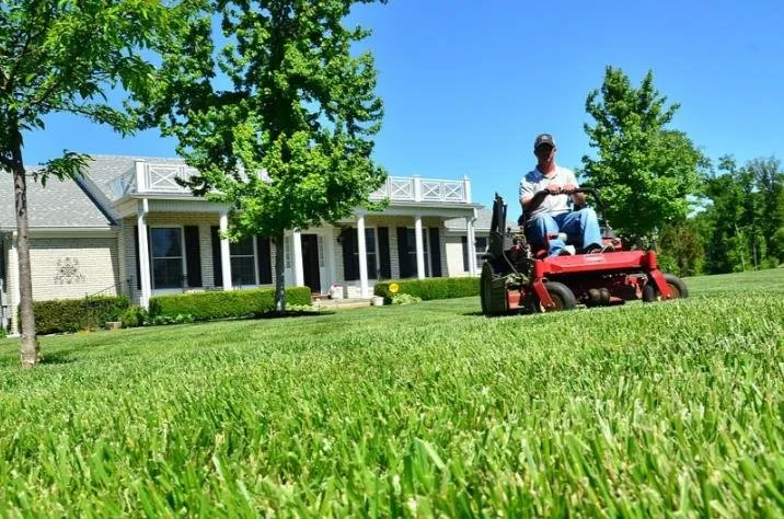 Affordable garden landscaping in Denver, CO - Materra Waterscapes