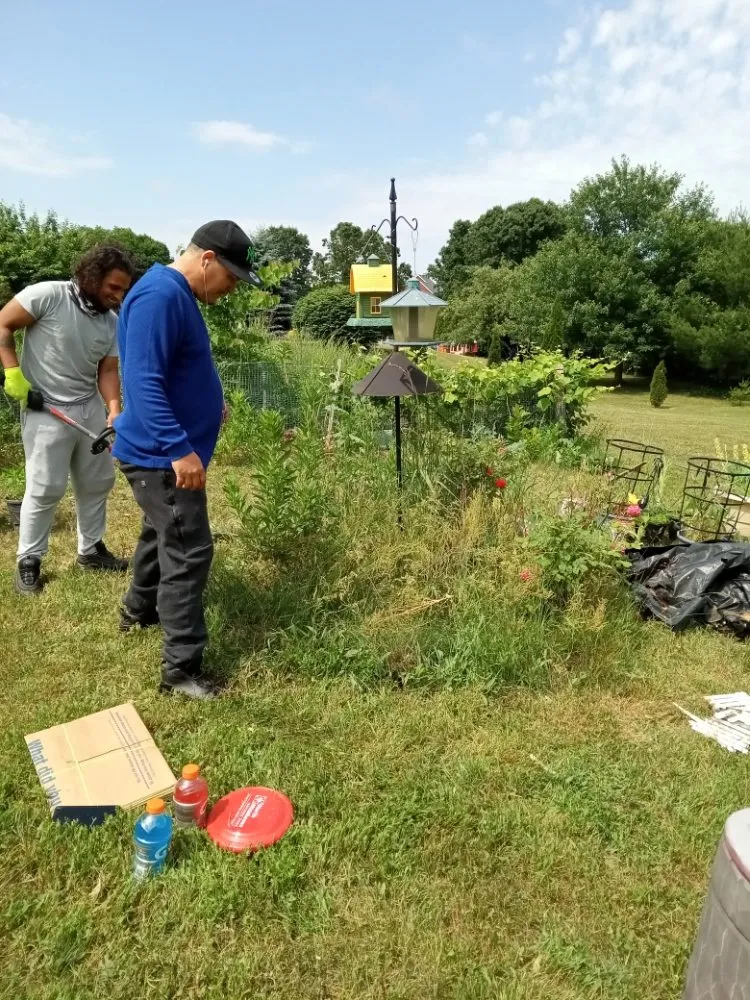 Trusted yard maintenance in Lowell, MA by Mathena's Landscaping