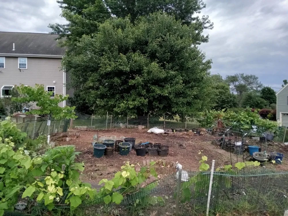 Expert yard cleanup service in Lowell, MA - Mathena's Landscaping