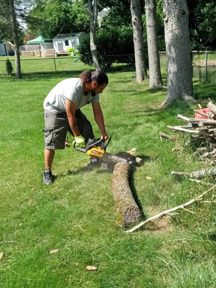 Trusted residential landscaping for beautiful yards in Lowell, MA by Mathena's Landscaping