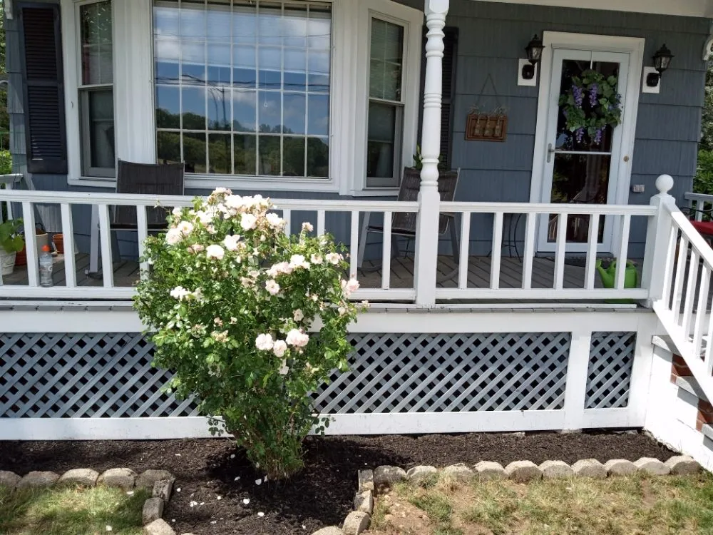 Reliable yard maintenance in Lowell, MA - Mathena's Landscaping