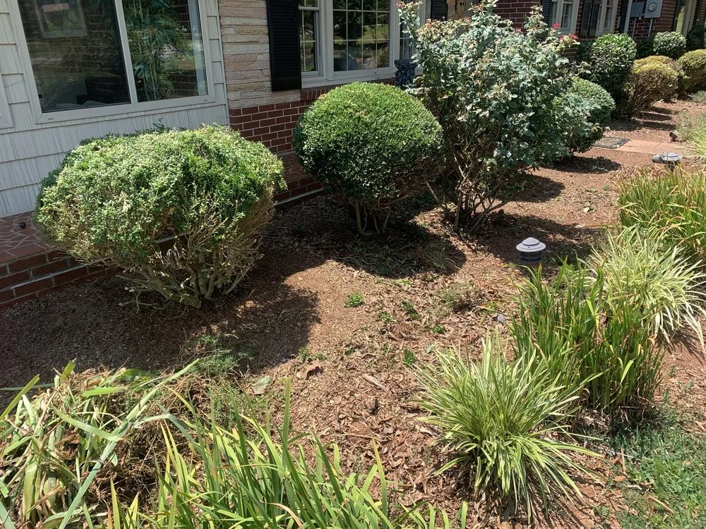 Top-rated landscaping services for homes across Township of Taylorsville, NC - Matheson & Delano’s Handyman Services