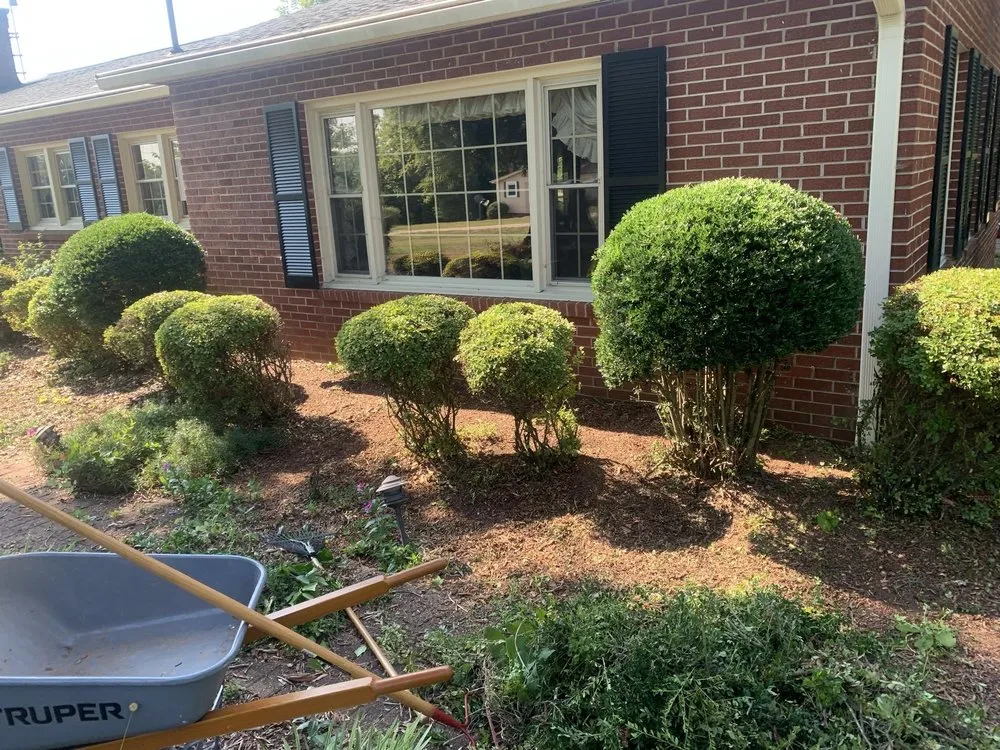Affordable yard maintenance in Township of Taylorsville, NC by Matheson & Delano’s Handyman Services