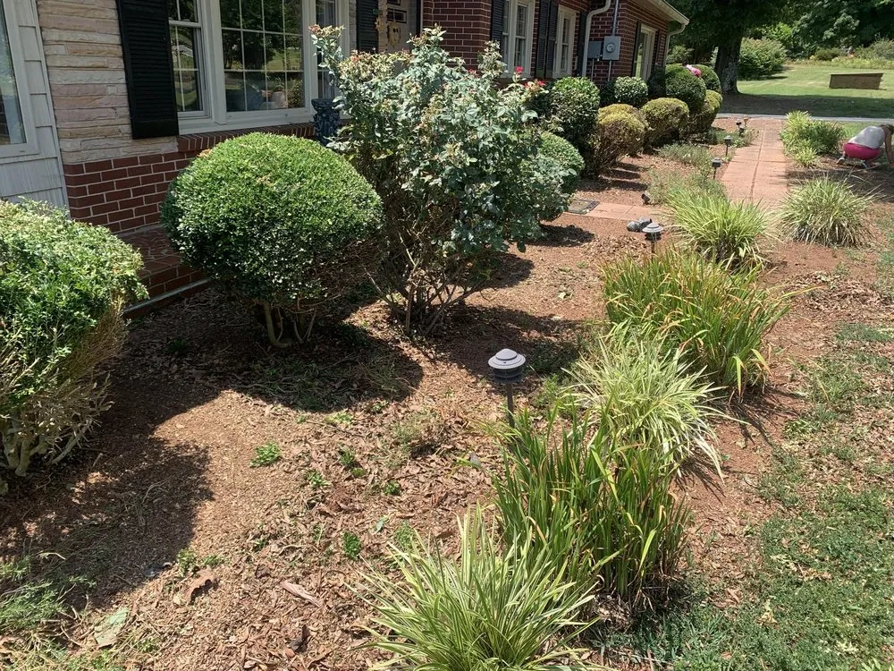 Affordable yard cleanup service for homes in Township of Taylorsville, NC by Matheson & Delano’s Handyman Services