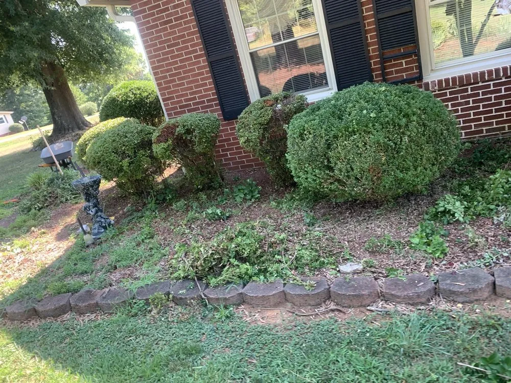 Professional yard maintenance for beautiful yards across Township of Taylorsville, NC - Matheson & Delano’s Handyman Services