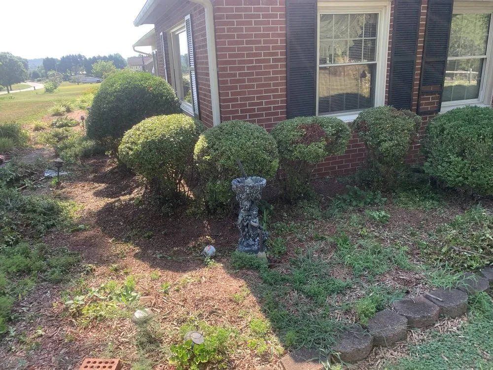 Trusted lawn care service for residential properties in Township of Taylorsville, NC by Matheson & Delano’s Handyman Services