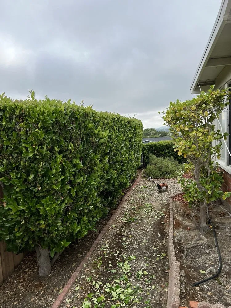 Reliable landscape installation experts serving Escondido, CA - Matheus Landscaping And Maintenance Services