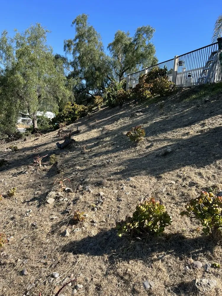 Expert landscaping services in Escondido, CA - Matheus Landscaping And Maintenance Services